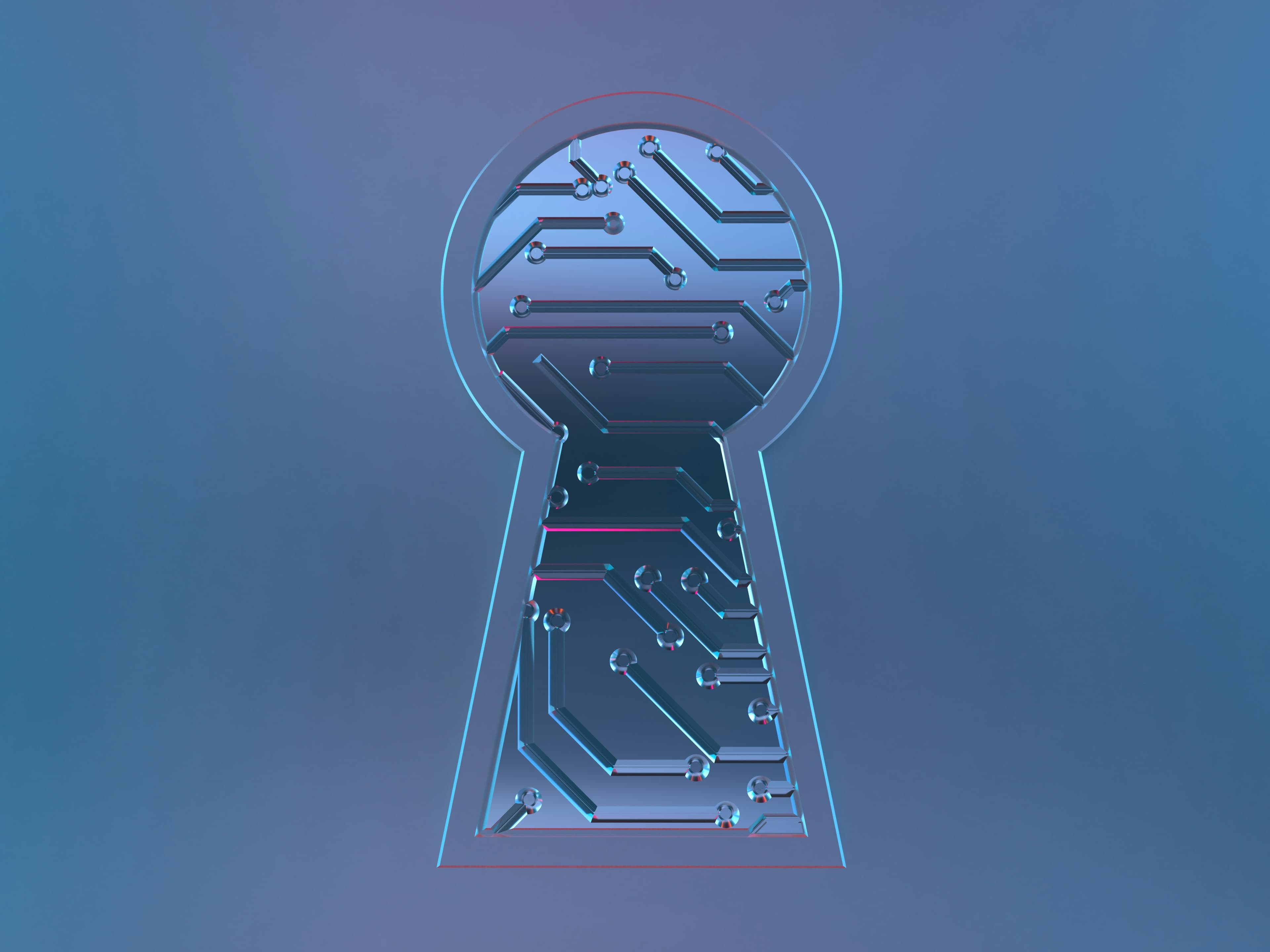 Does Your App Leak Private Data?